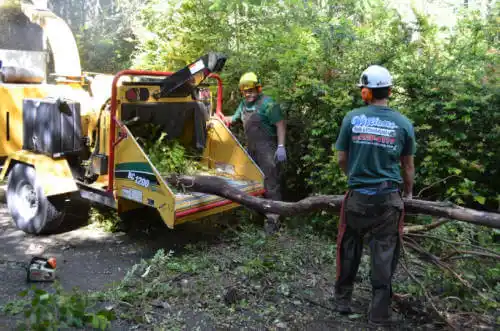 tree services St. Maries